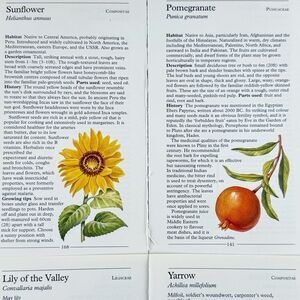 Lot of 4 Vintage Double Sided Botanical 5x7 Book Plate Prints MCM Gallery Wall